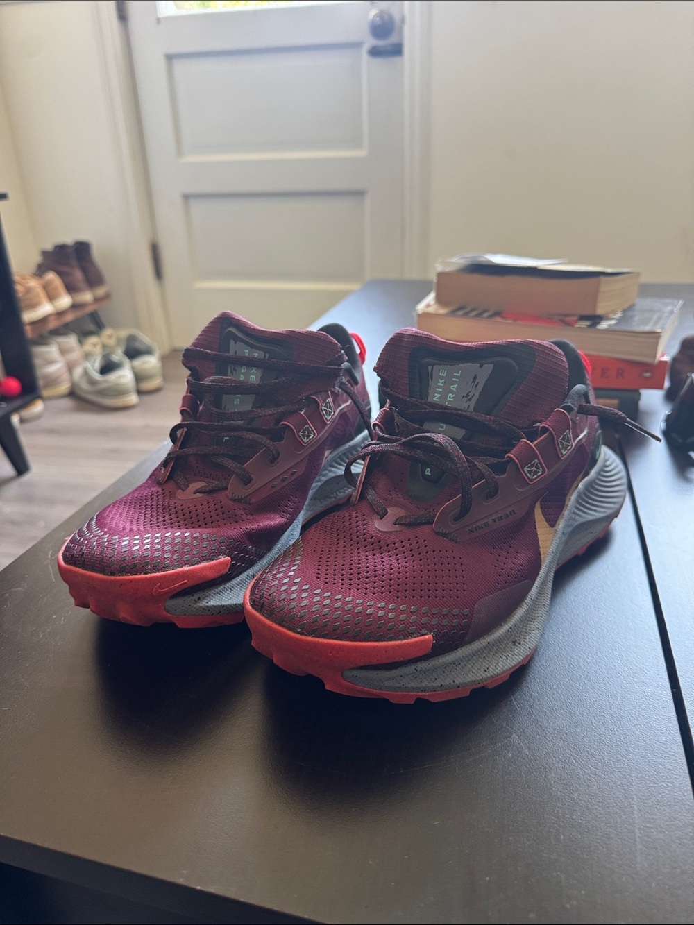 Nike Men's Burgundy and Red Trail Running Shoes